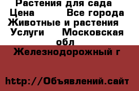 Растения для сада › Цена ­ 200 - Все города Животные и растения » Услуги   . Московская обл.,Железнодорожный г.